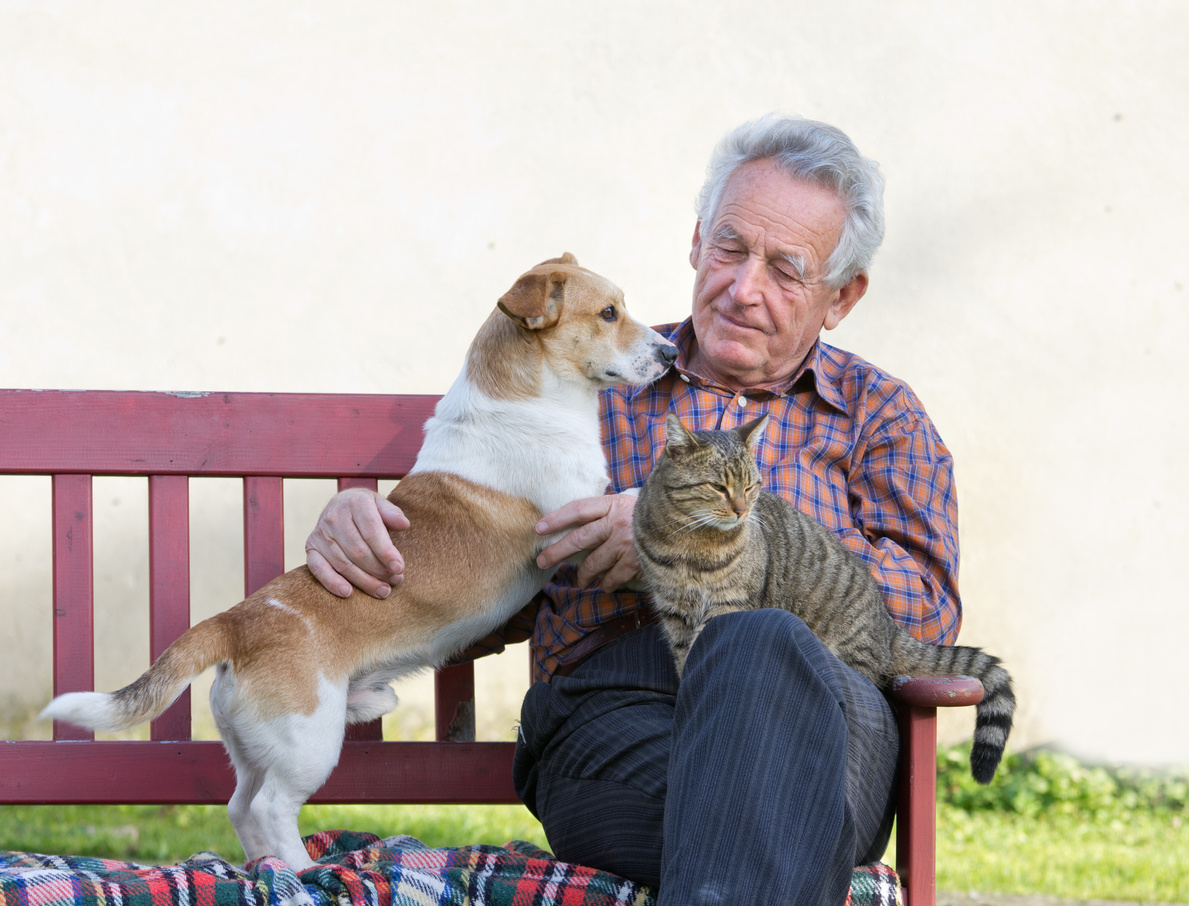 Old man with his pets